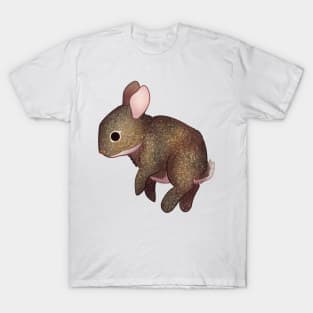 Cozy Volcano Rabbit T-Shirt